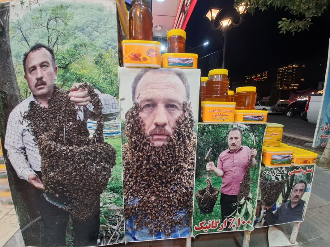 گزارش تصویری هفتمین جشنواره مجریان و هنرمندان صحنه ایران  